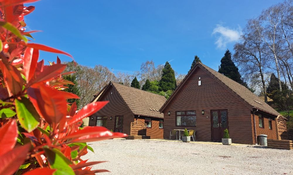 Spring  short breaks at Alpine Park Cottages