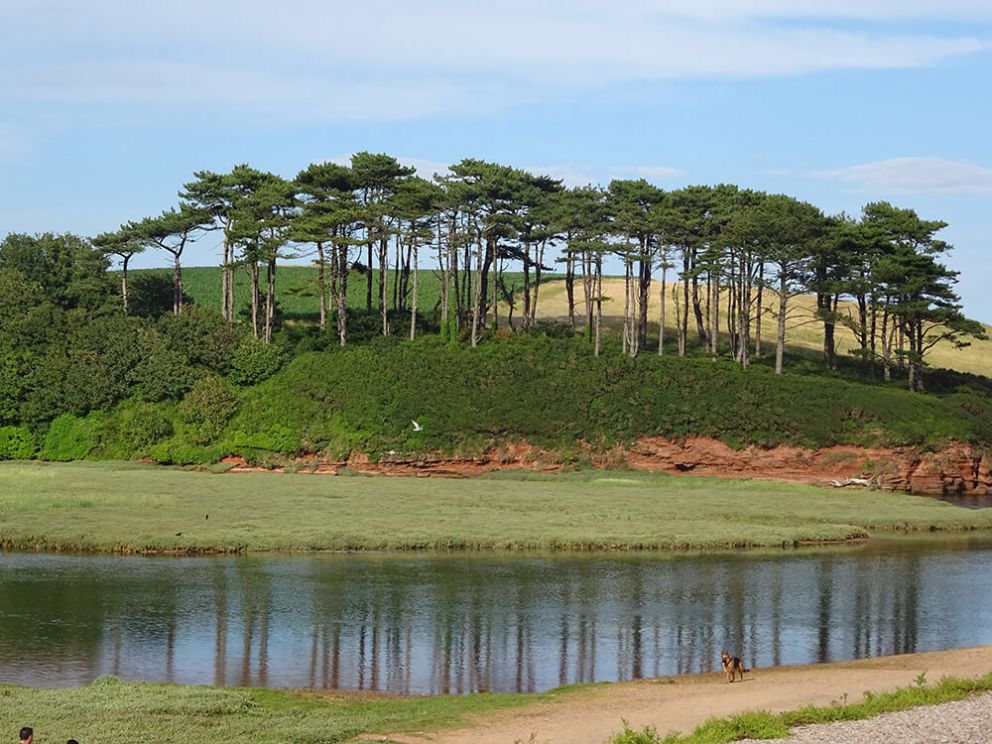 Bird watching nature reserves near Exeter and East devon