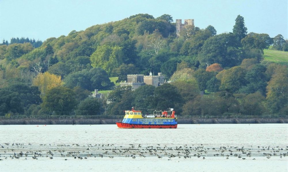 Stuart Line Cruise Guided Bird Watching Cruises 